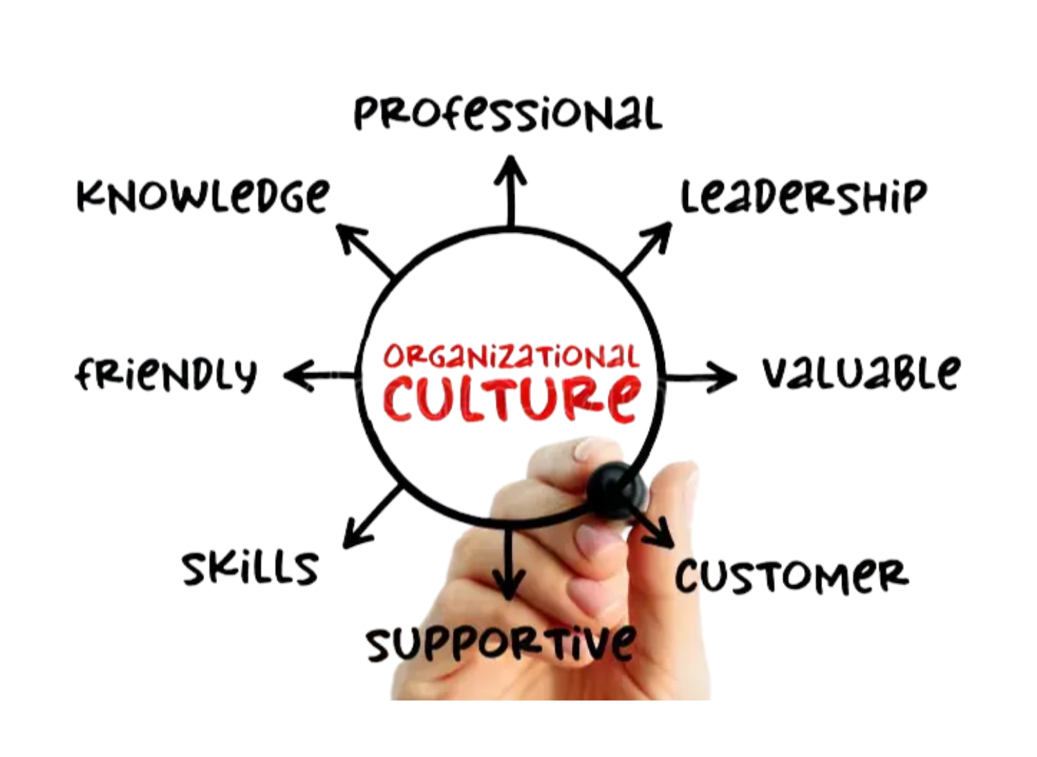 The Real Reason Employees Stay or Leave: Organisational Culture Explained